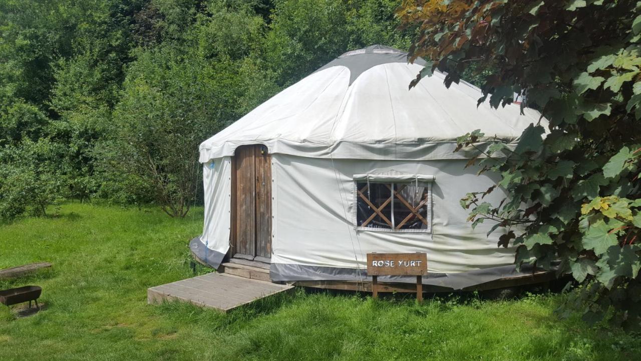 South Downs Eco Lodge & Camping East Meon Екстер'єр фото