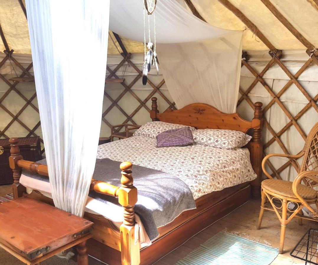 South Downs Eco Lodge & Camping East Meon Екстер'єр фото