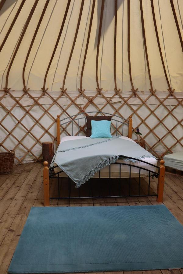 South Downs Eco Lodge & Camping East Meon Екстер'єр фото