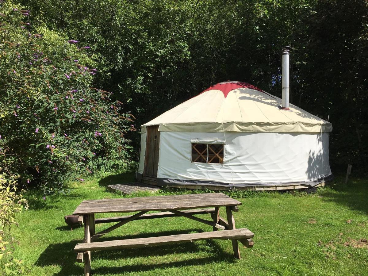South Downs Eco Lodge & Camping East Meon Екстер'єр фото