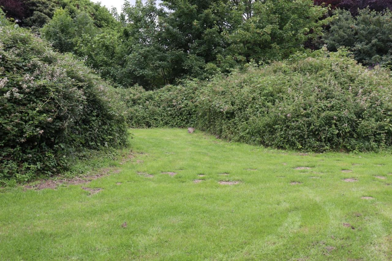 South Downs Eco Lodge & Camping East Meon Екстер'єр фото