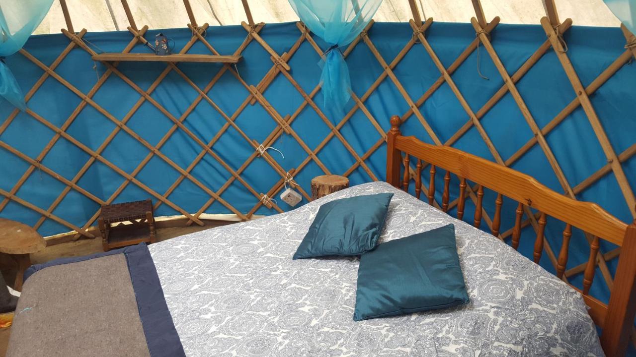 South Downs Eco Lodge & Camping East Meon Екстер'єр фото