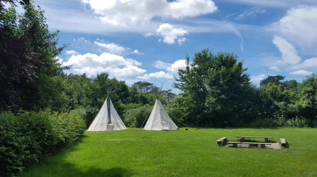 South Downs Eco Lodge & Camping East Meon Екстер'єр фото