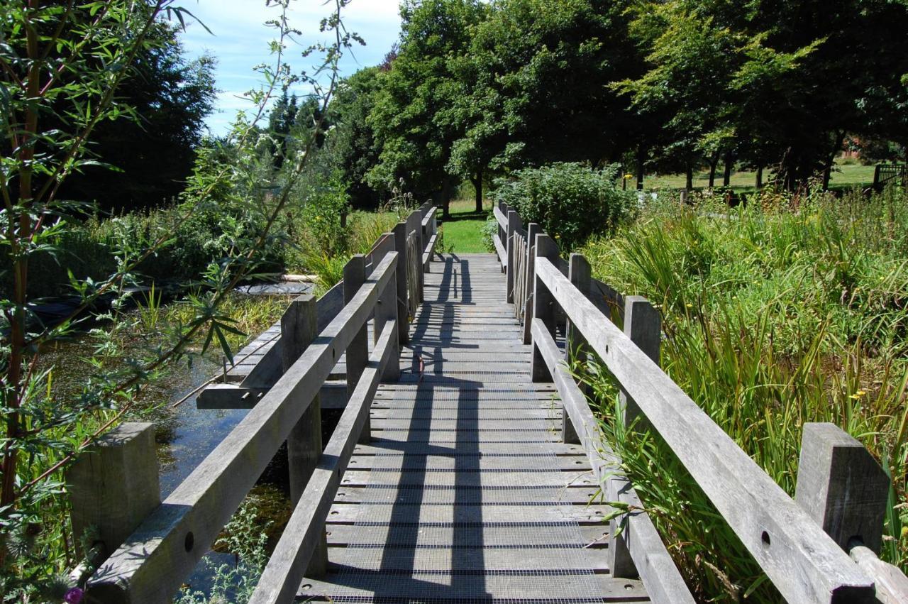 South Downs Eco Lodge & Camping East Meon Екстер'єр фото