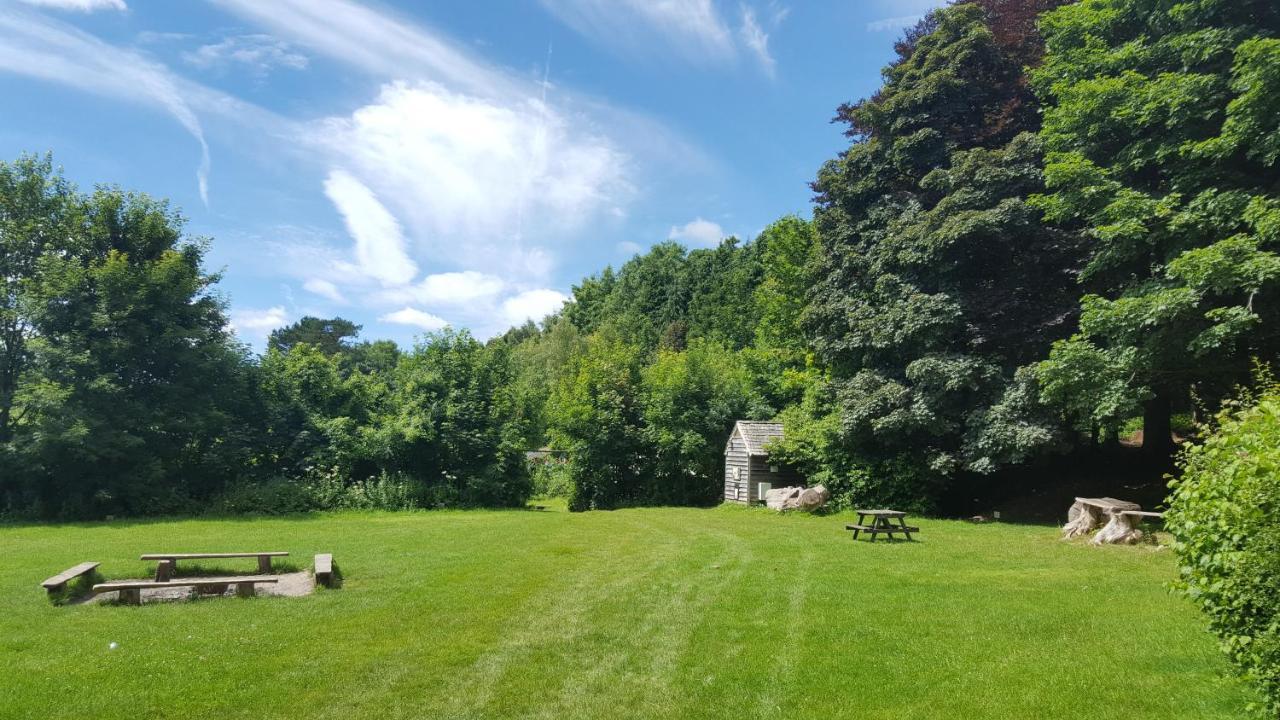 South Downs Eco Lodge & Camping East Meon Екстер'єр фото