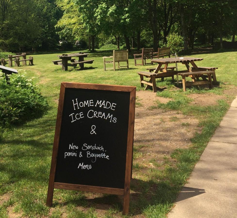 South Downs Eco Lodge & Camping East Meon Екстер'єр фото