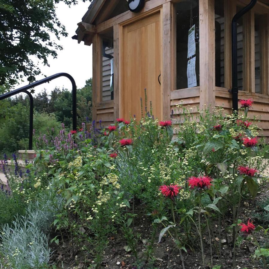 South Downs Eco Lodge & Camping East Meon Екстер'єр фото
