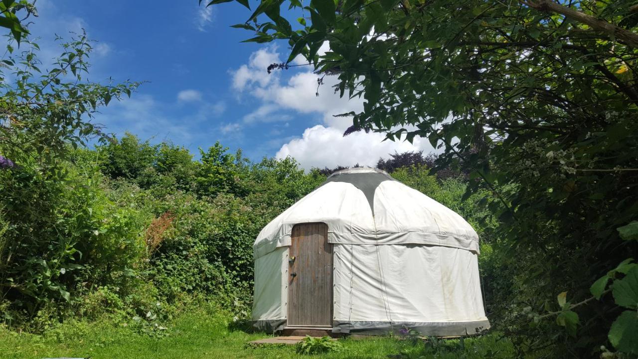 South Downs Eco Lodge & Camping East Meon Екстер'єр фото