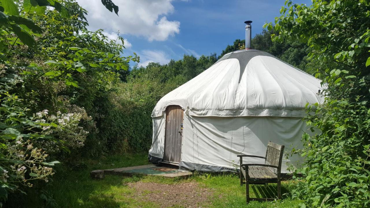 South Downs Eco Lodge & Camping East Meon Екстер'єр фото