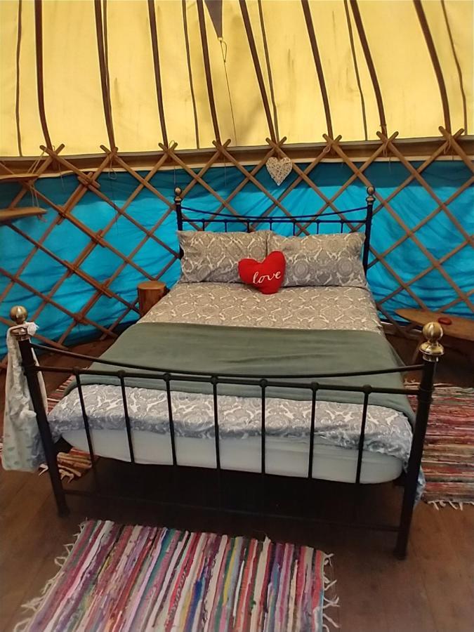 South Downs Eco Lodge & Camping East Meon Екстер'єр фото